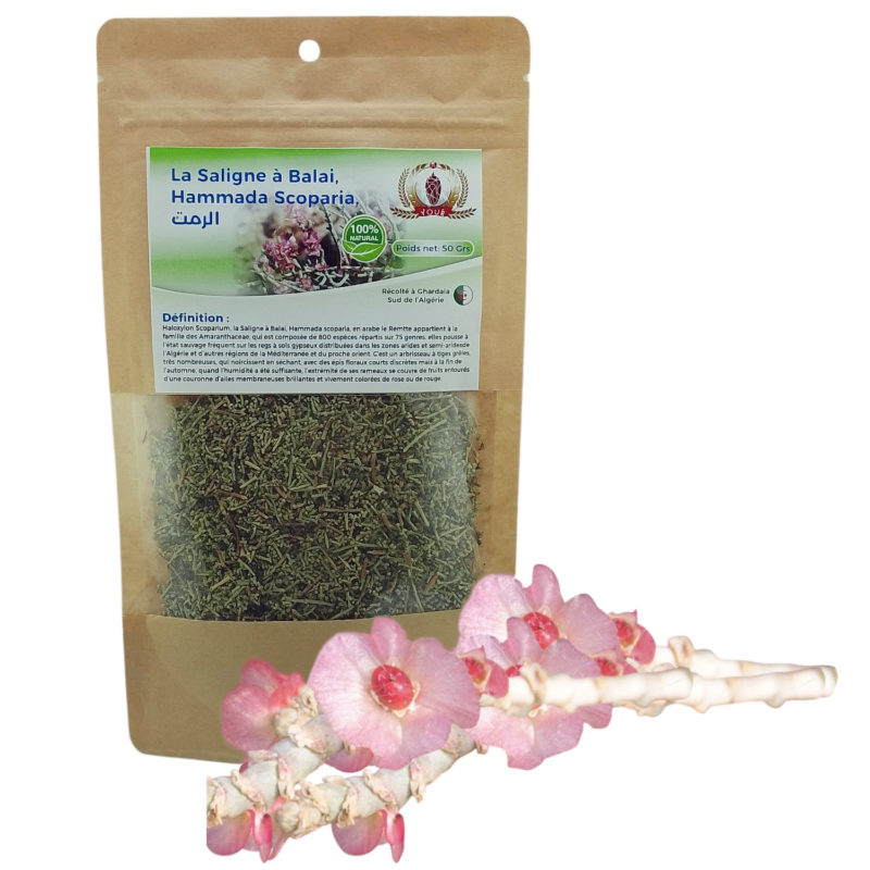 Tisane Hammada Scoparia , La Saligne à Balai Récolté au Sud de l'Algérie - Sèche Sac 50 Gr