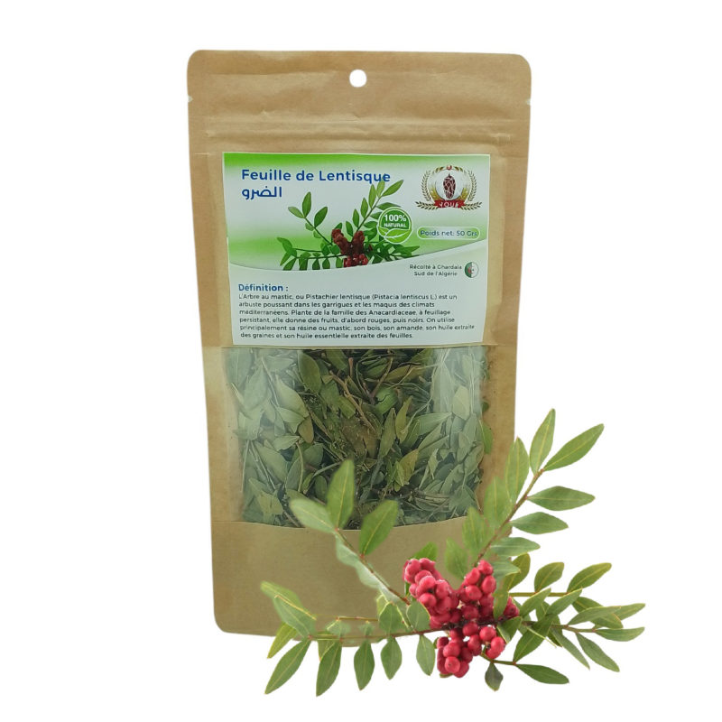 Tisane Feuille de Lentisque Récolté au Sud de l'Algérie - Sèche Sac 50 Gr