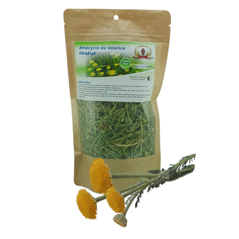 Tisane Anacycle de Valence Récolté au Sud de l'Algérie - Sèche Sac 50 Gr