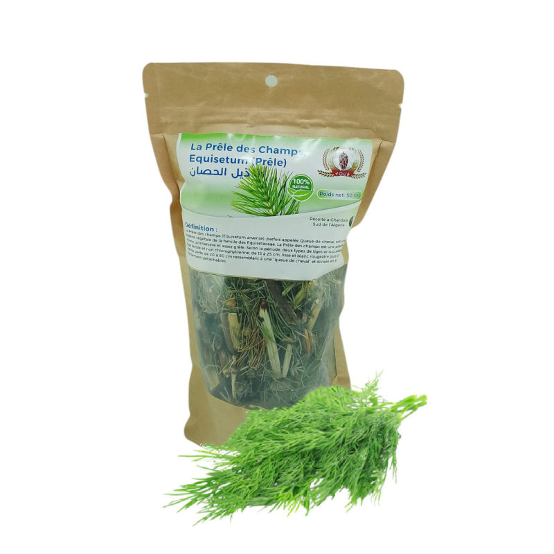 Tisane La Prêle des Champs, Equisetum (Prêle) Récolté au Sud de l'Algérie - Sèche Sac 50 Gr