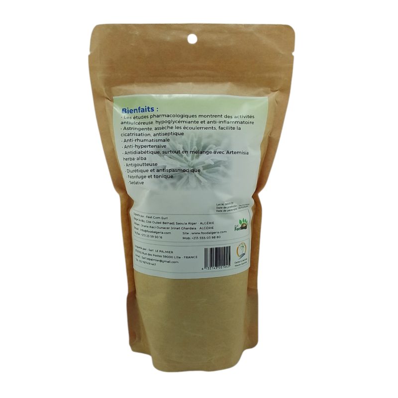 Tisane Ivette Musquée - Germandrée Musquée - Bugle Fausse - Récolté au Sud de l'Algérie - Sèche Sac 50 Gr – Image 3
