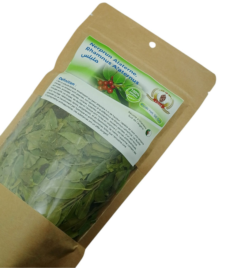 Tisane Nerprun Alaterne - Rhamnus Alaternus - Récolté au Sud de l'Algérie - Sèche Sac 50 Gr – Image 4