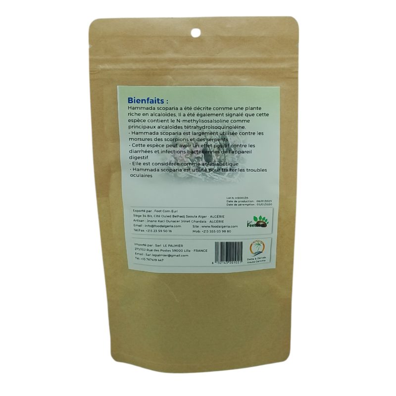 Tisane Hammada Scoparia , La Saligne à Balai Récolté au Sud de l'Algérie - Sèche Sac 50 Gr – Image 3