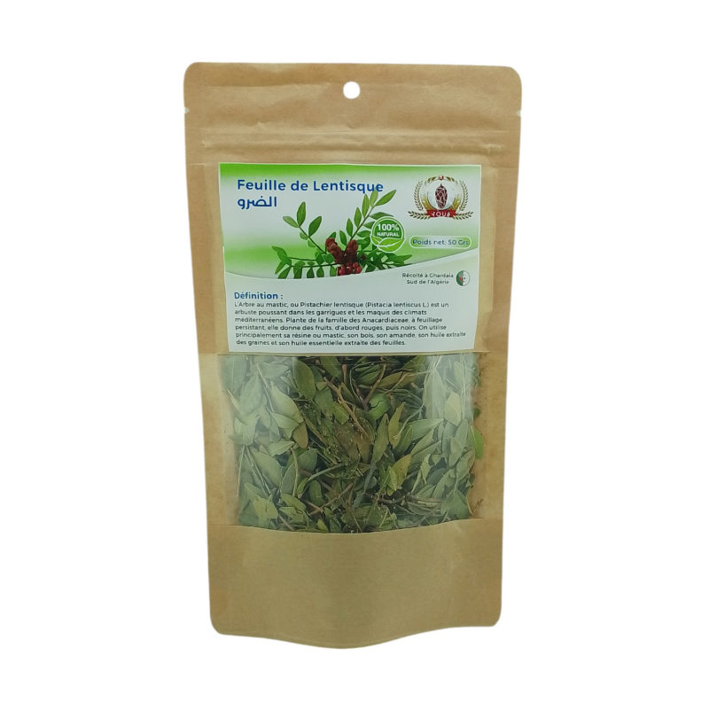 Tisane Feuille de Lentisque Récolté au Sud de l'Algérie - Sèche Sac 50 Gr – Image 2