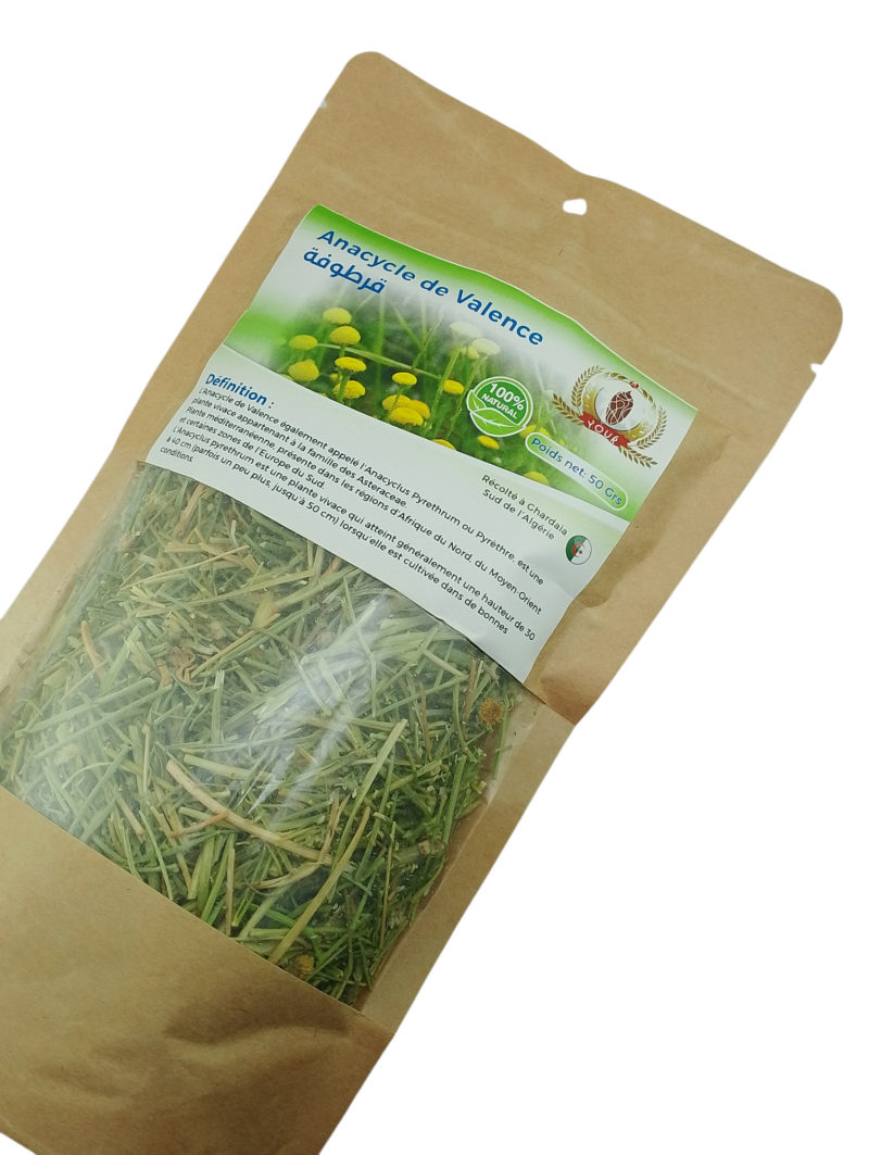 Tisane Anacycle de Valence Récolté au Sud de l'Algérie - Sèche Sac 50 Gr – Image 4